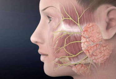  Biopsia de glándula salival menor